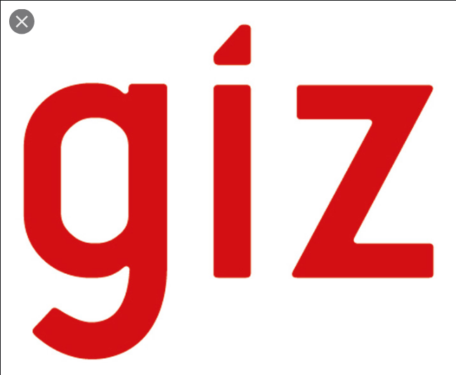 Job Opportunity at GIZ Tanzania - Gender Advisor S4DA August 2022
