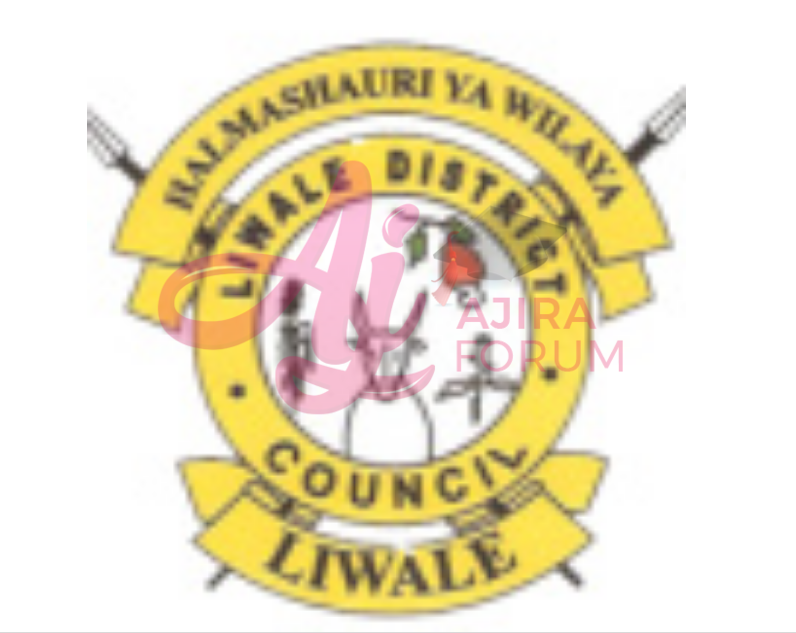 Job Opportunities At Liwale District Council September 2022
