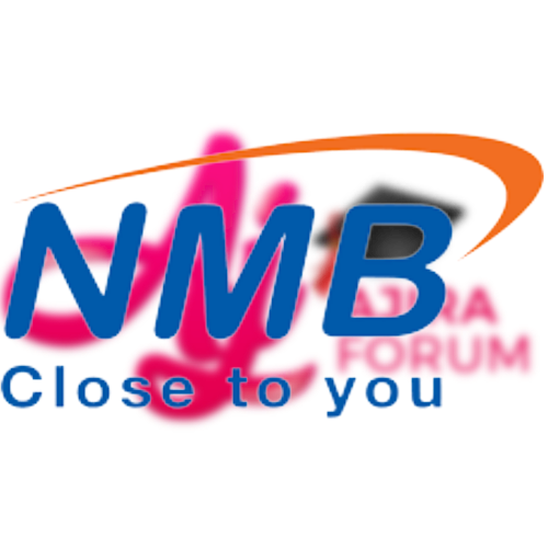 Job Opportunity at NMB Bank Plc Tanzania - Manager Payment System Support