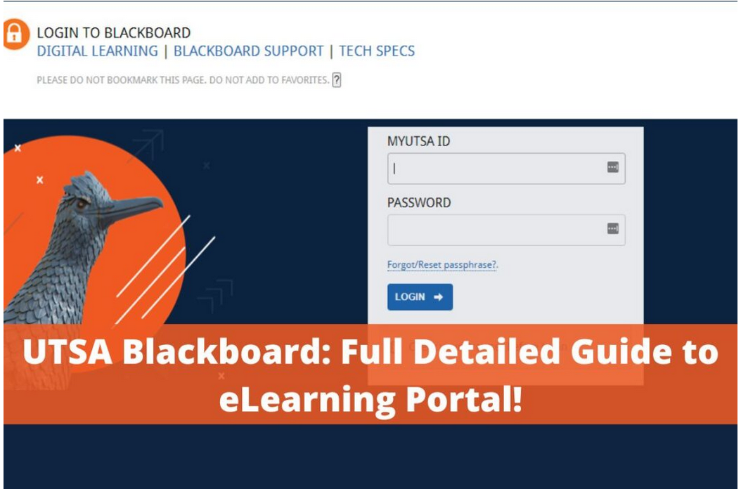 UTSA Blackboard: Unlimited Guide to UTSA eLearning Portal Login