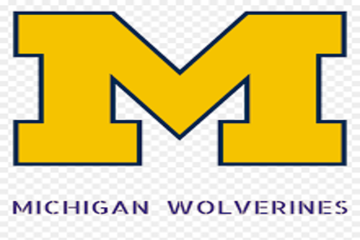Helpful Guide to Access Umich Wolverine