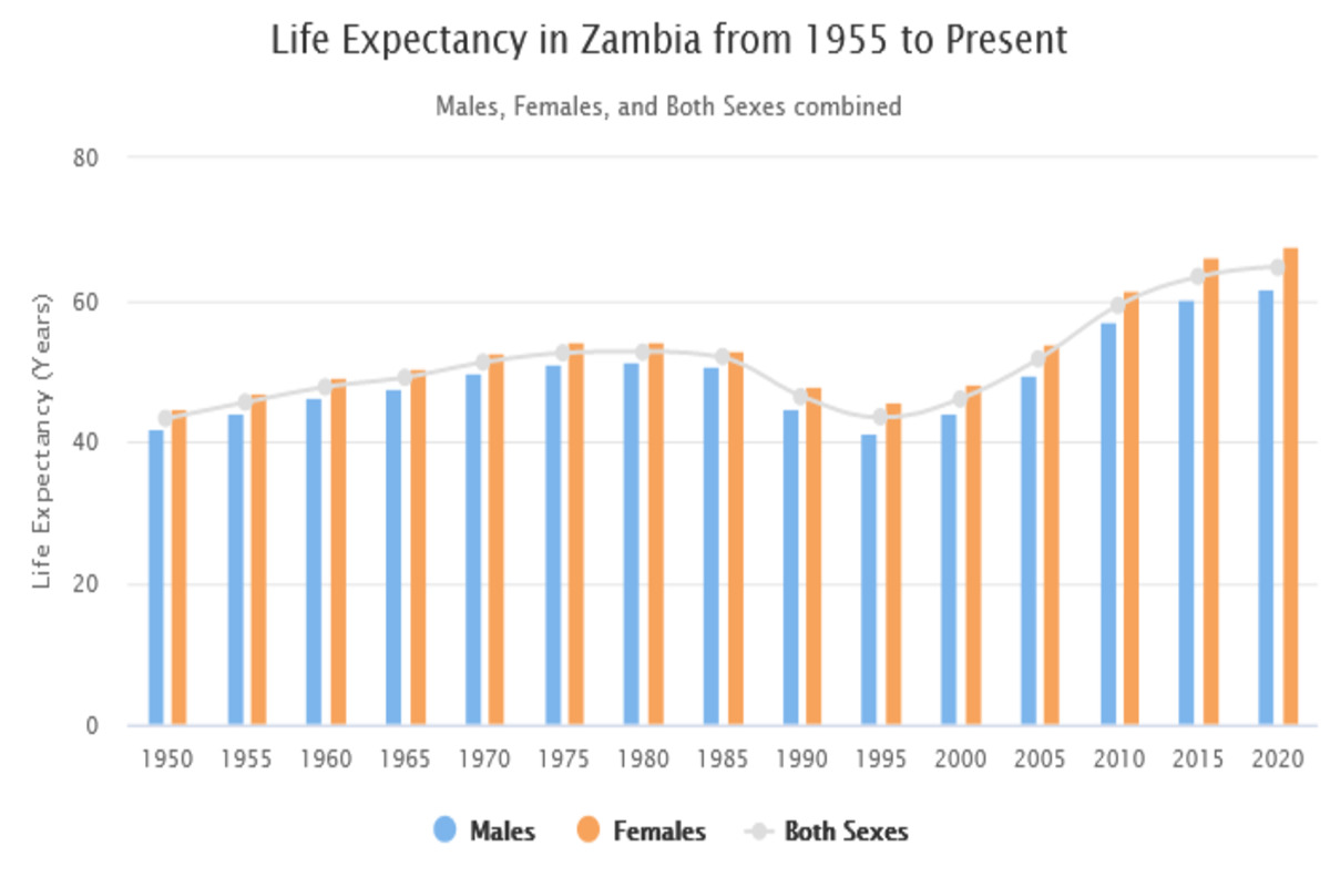 Zambia Demographics 2020 (Population Age Sex Trends)
