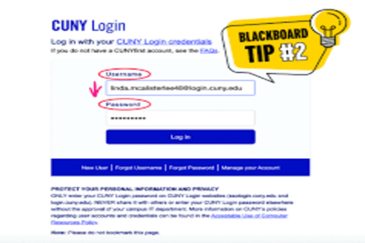 Cuny Degree Works Login Complete Guide