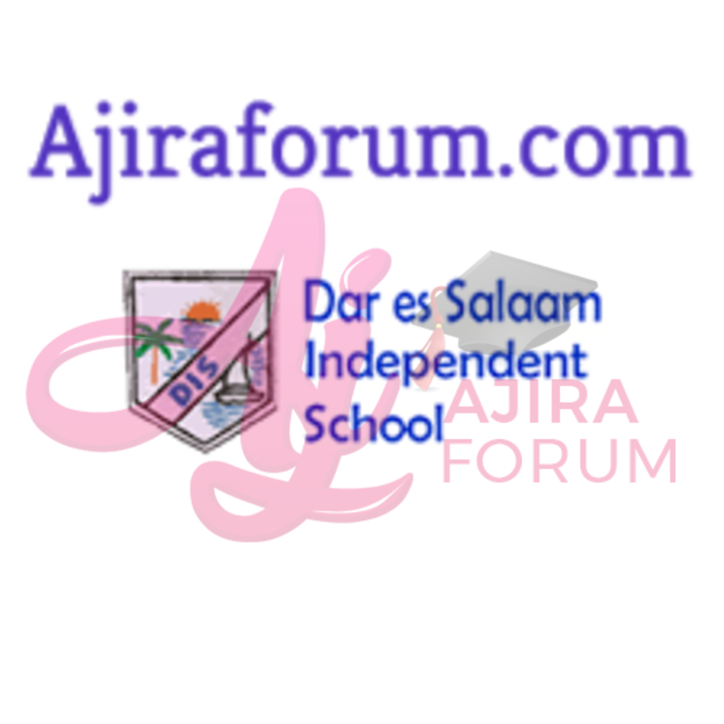 Job Vacancies At Dar es Salaam Independent School (DIS)-Teachers September 2022