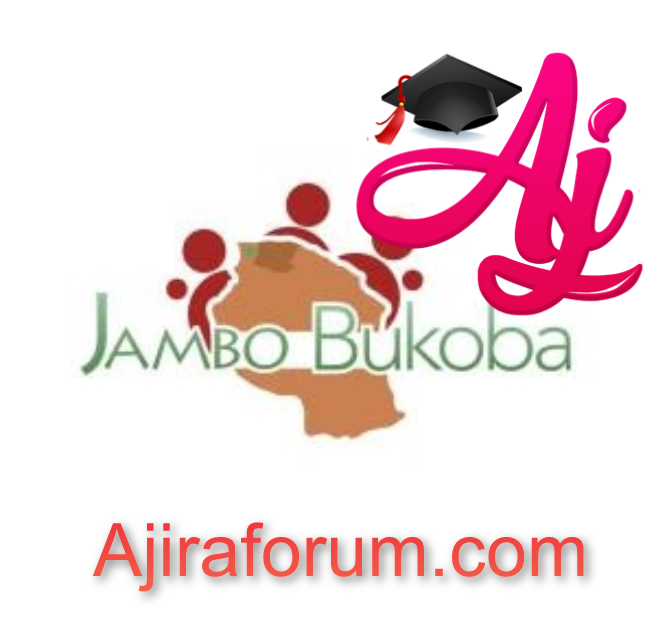 Job Opportunity at Jambo for Development (JFD) - Finance and Administration Manager