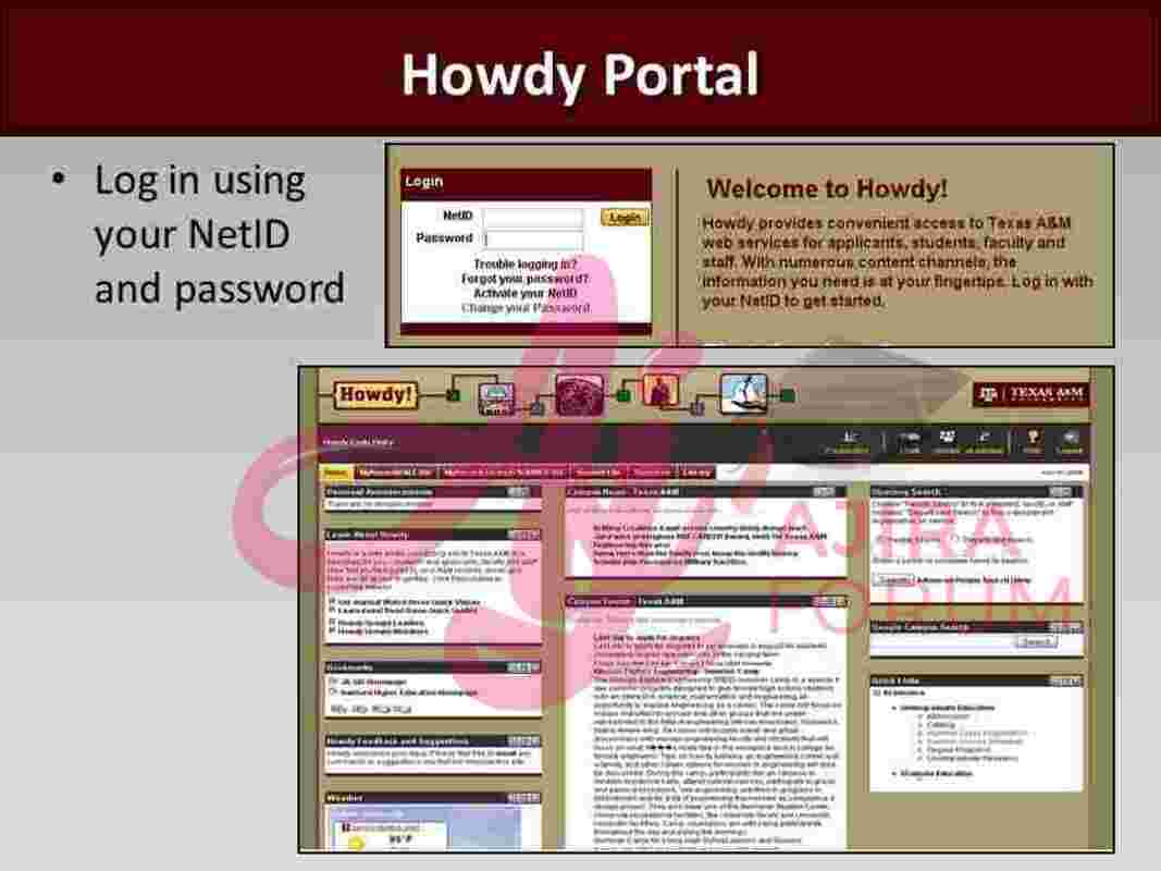 Howdy TAMU Login: Best Guide to Access TAMU Howdy Portal