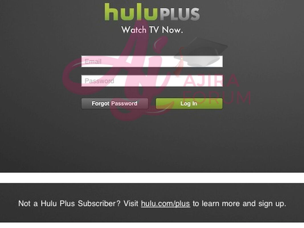 Login into the Hulu site from your computer or laptop?