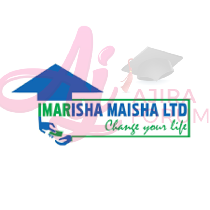  Job Vacancy At Imarisha Maisha- Software Developer 2022