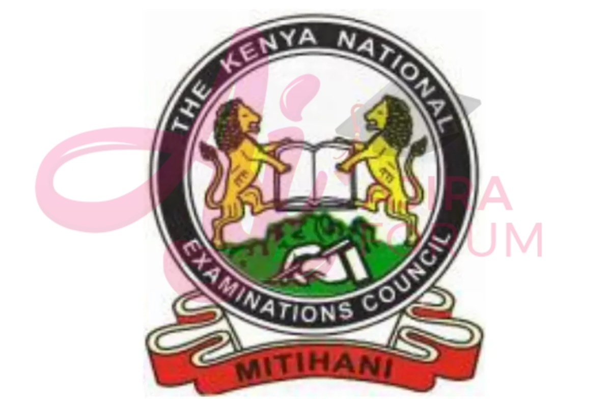 KCPE Registration Portal | How to Login and Register