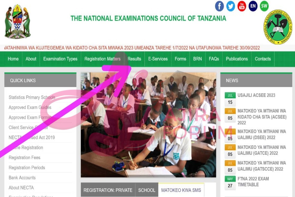 How to Check Standard Seven Results Online (Necta website)