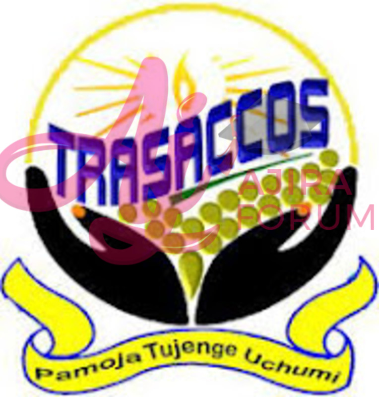 Job Opportunity at TRA SACCOS Limited - Manager TRA Saccos October 2022