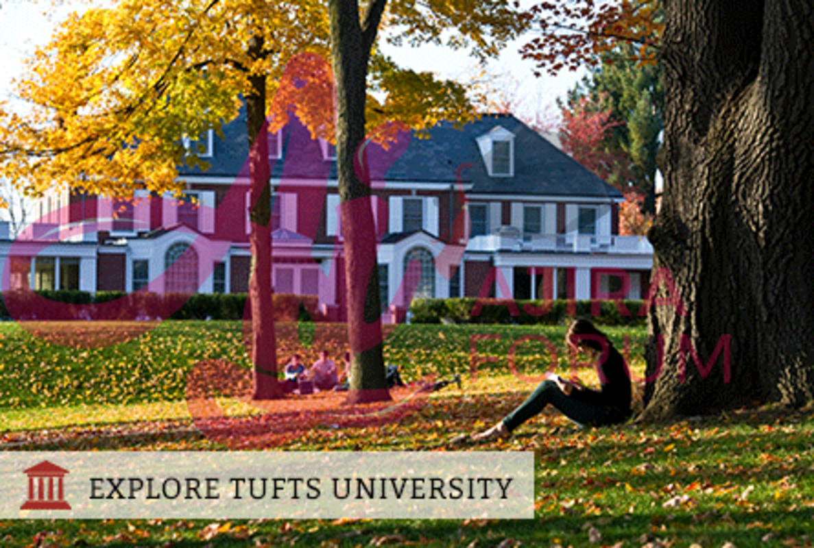 Tufts Canvas Login: Helpful Guide to TUFTS Learning Management System