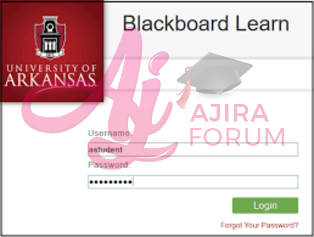 How to log into uark blackboard