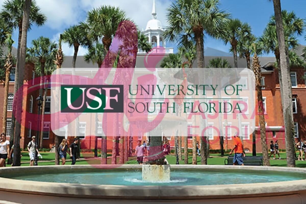 myUSF Login: How to Access USF Student Portal -My.usf.edu