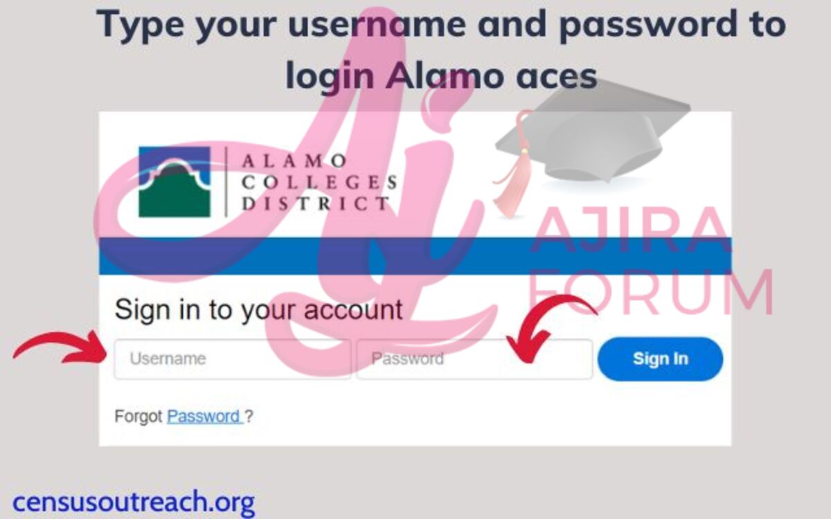 How to log into alamo aces