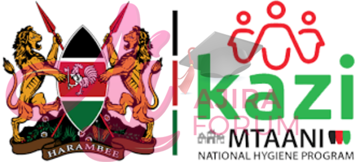 Kazi Mtaani Application Portal Online