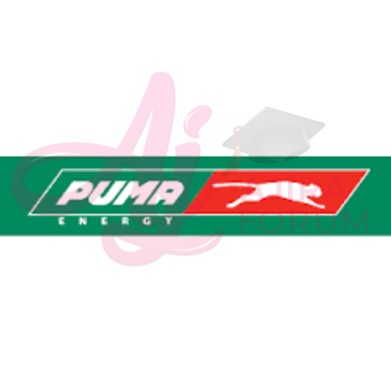 Job Vacancies At Puma Tanzania-Treasury Manager November 2022