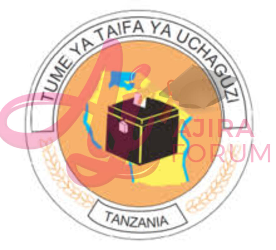 Job Opportunities at Tume ya Taifa ya Uchaguzi Tanzania November 2022