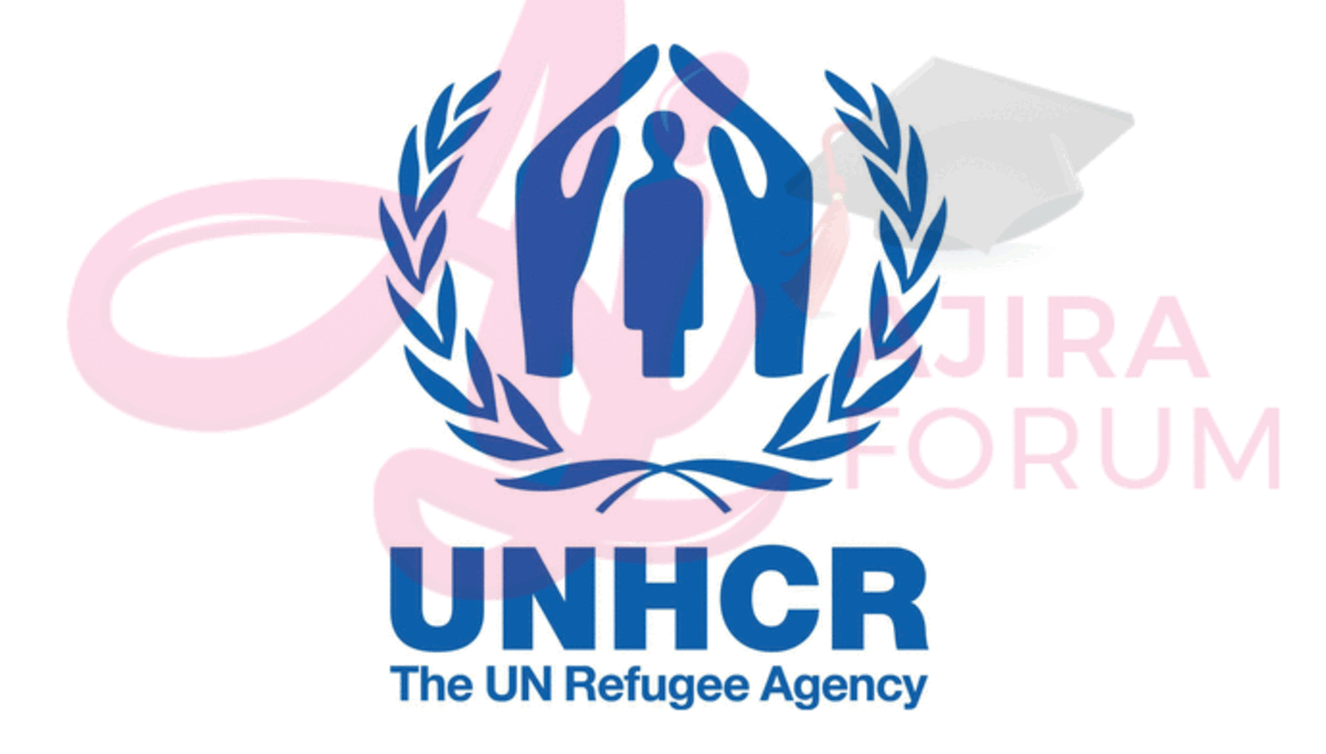 Job Vacancy UNHCR November 2022