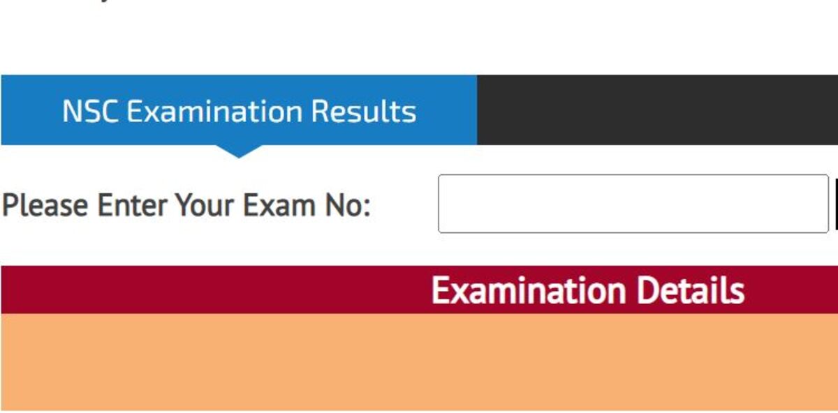 How to check matric results online 2022 with exam number