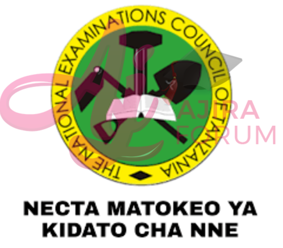 PDF Matokeo Kidato Cha Nne 2022/2023 | NECTA Form FOUR Results