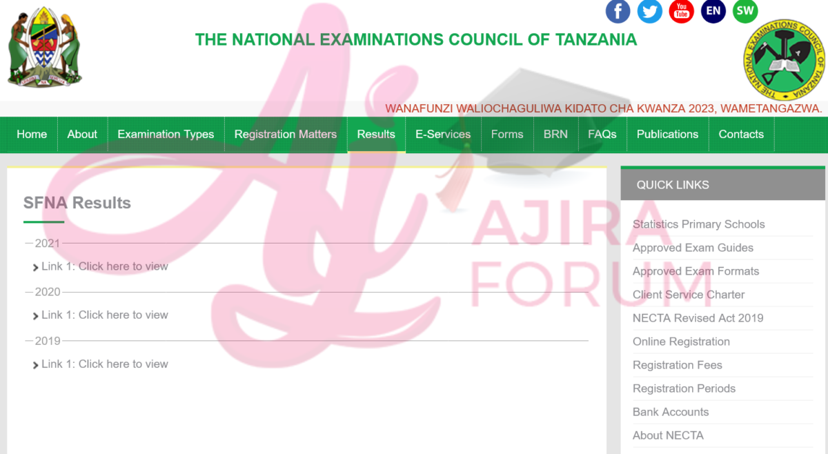 How to Check Standard IV Results Online (Necta website)