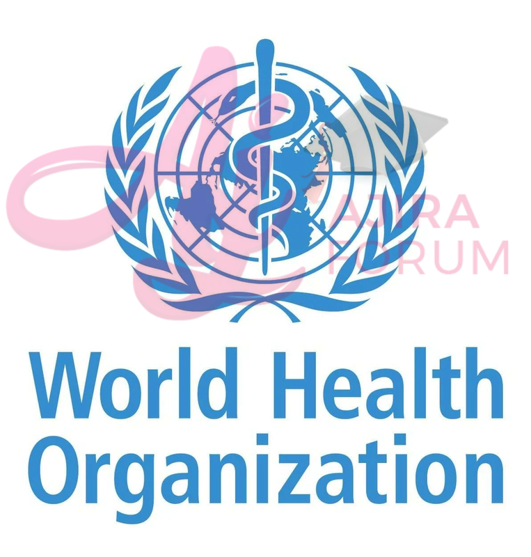 Job Vacancies at World Health Organization WHO November 2022