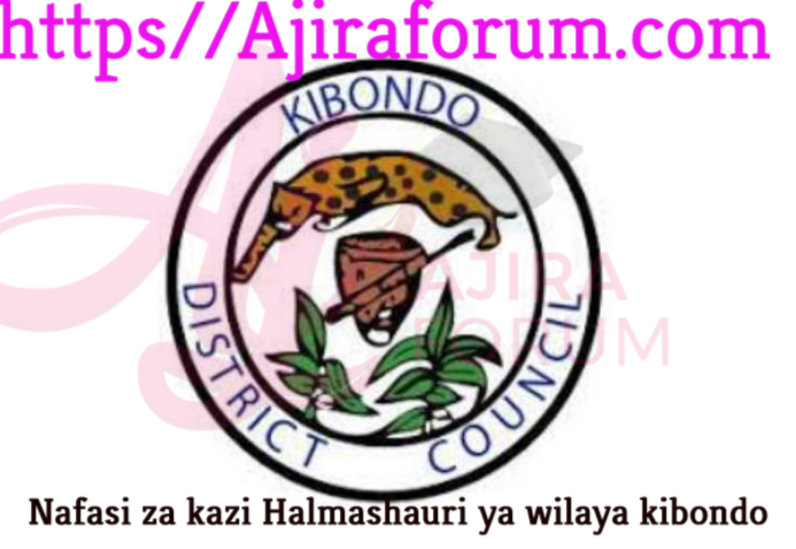 Job Vacancies at Kibondo District Council January 2023