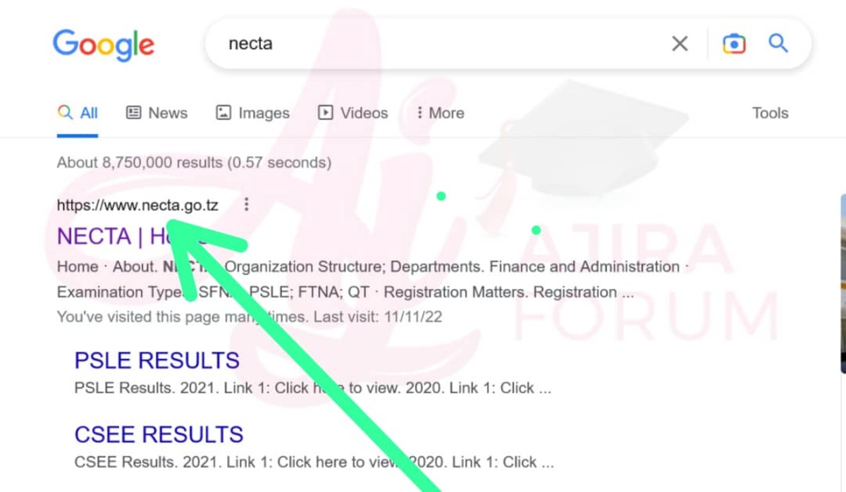 How to Check Form Four Results Online www.necta.go.tz