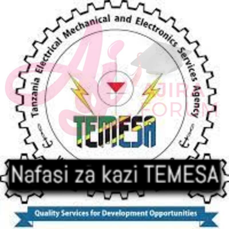 67 Job Vacancies at TEMESA March 2023