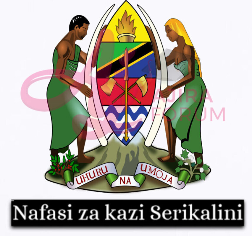 Nafasi za kazi Halmashauri ya Wilaya ya Nzega April 2023