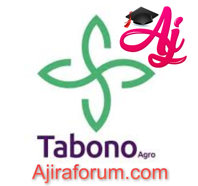 Job Vacancies At Tabono Consult Limited - Chef Assistant April 2023