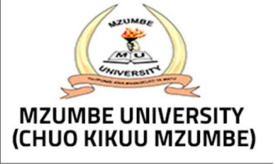Job Vacancies University of Dodoma May 2023