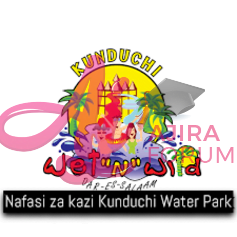 Job Vacancies At Kunduchi Water Park June 2023