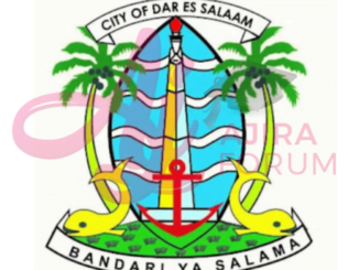 Nafasi za kazi Halmashauri ya Jiji la Dar es salaam July 2023