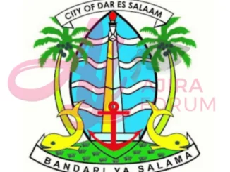 Nafasi za kazi Halmashauri ya Jiji la Dar es salaam July 2023