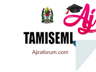 Job vacancies Tamisemi wizara ya afya July 2023