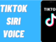 How to Make Siri Talk on TikTok -Siri voiceover on TikTok