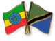 Translator and Secretary Job at Embassy of Ethiopia in Tanzania October 2023