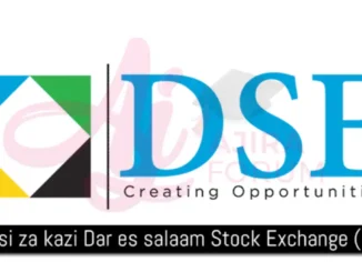 Job Vacancies At Dar es Salaam Stock Exchange (DSE)-Accountant October 2023