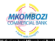 Senior Relationship Manager Job at Mkombozi Commercial Bank 2023