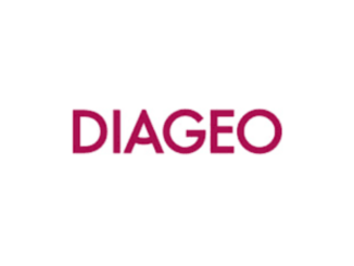 Controls and Governance Lead Job at Diageo November 2023