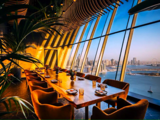 Unveiling Dubai's Finest Restaurants and Dinner Experiences with Marina Dhow Cruise Dubai