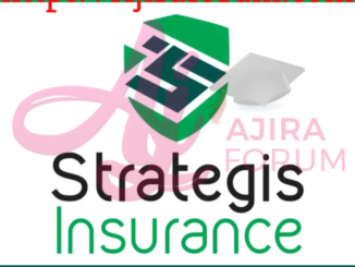 Claim Officer (x1)Job at Strategis Insurance (T) Limited November 2023
