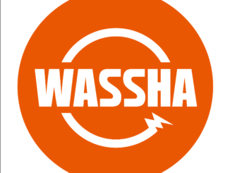 Assistant Accounting Team Leader Job at Wassha Inc November 2023