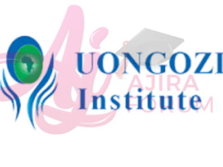 6 Internship Opportunities at UONGOZI Institute November 2023