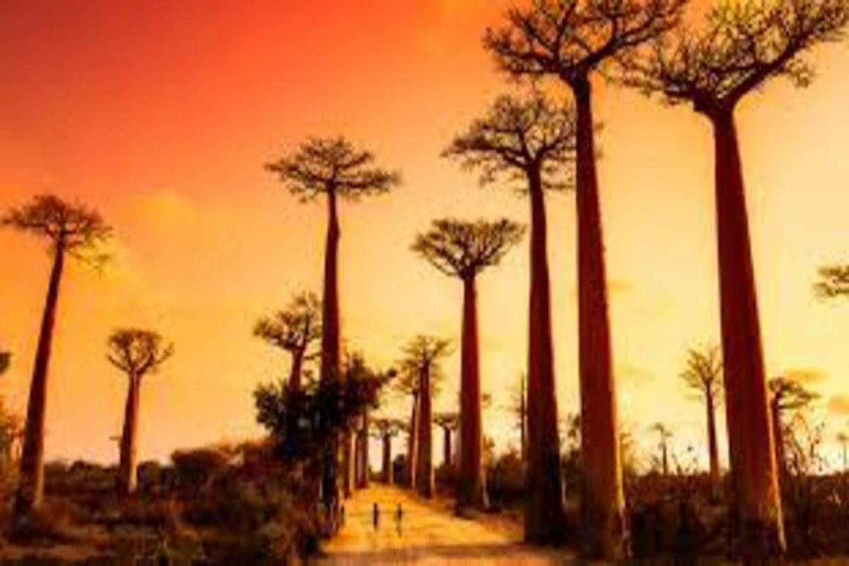 The Most Beautiful Countries to Visit in Africa
