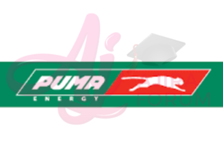 Job Vacancies At Puma Energy April 2024