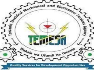 Temporary Job Opportunities at TEMESA April 2024