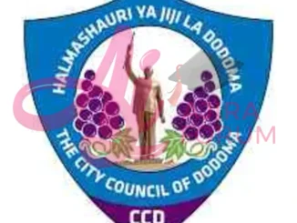 Job Vacancies at Dodoma City Council July 2024